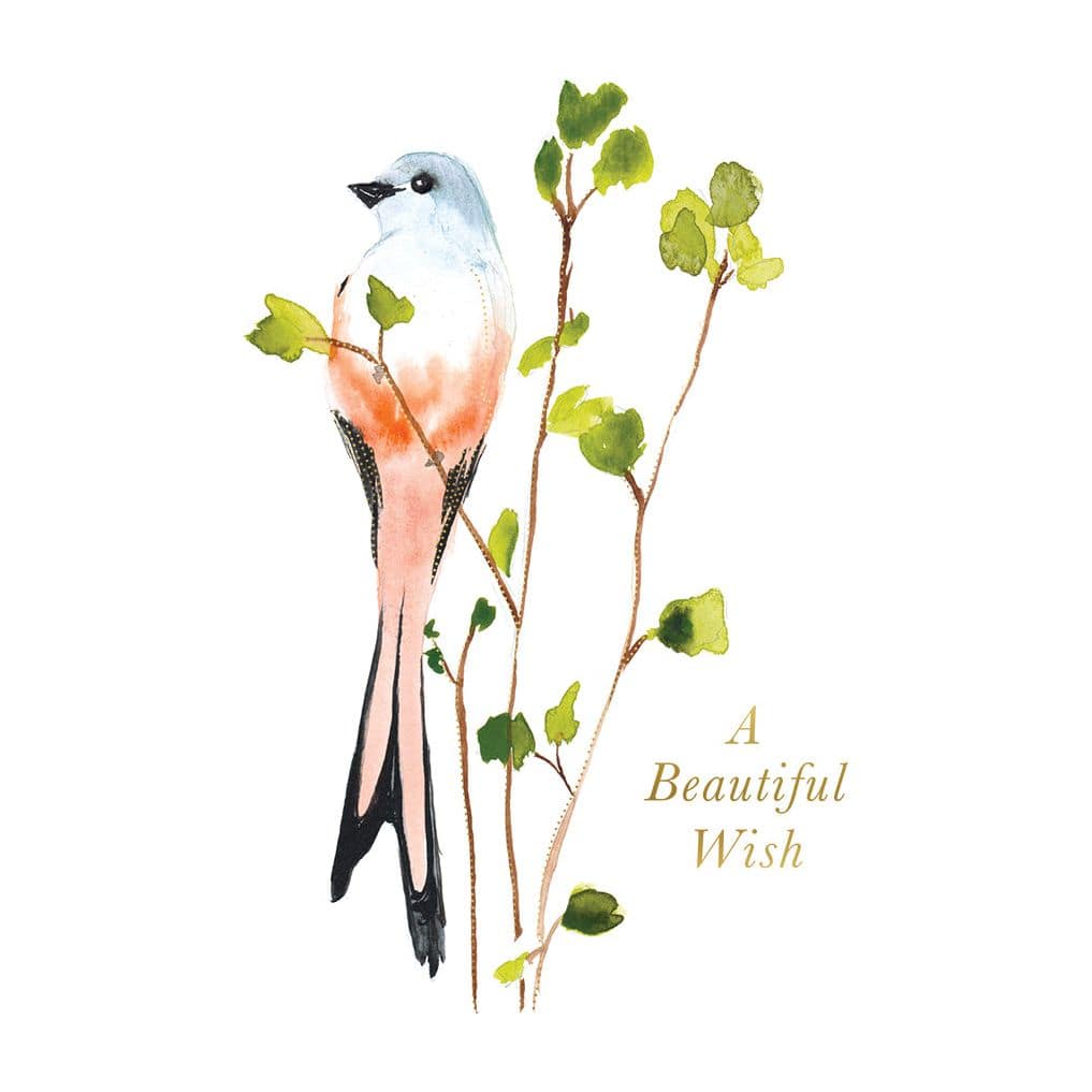 Pictura Scissortail Branch birthday card featuring a delicate branch illustration on a white background for everyday occasions.
